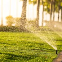 Rivers Edge Lawn & Landscape ico