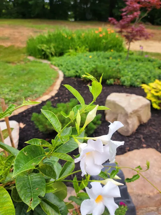 Perfection Lawn & Landscape, LLC Picture 2