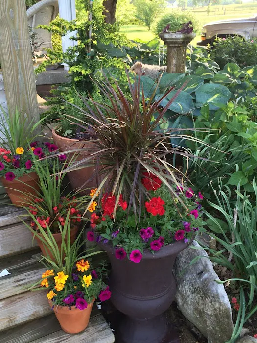 Robert's Landscape Services LLC Picture 2