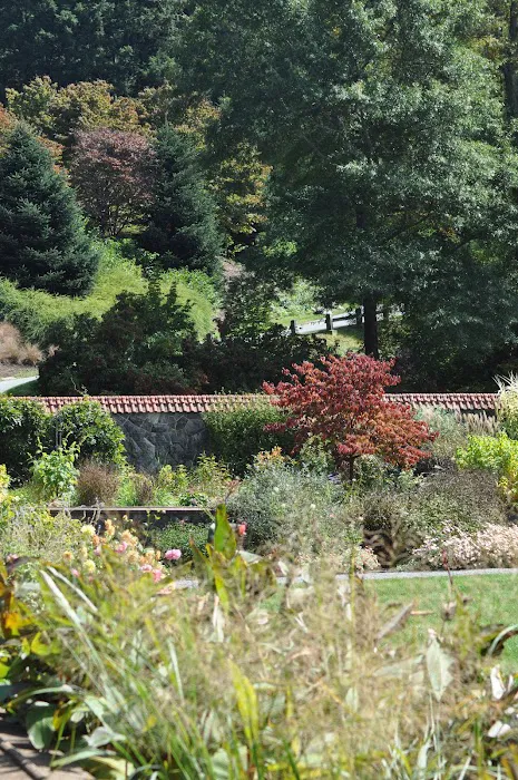 Robert's Landscape Services LLC Picture 1
