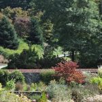 Robert's Landscape Services LLC