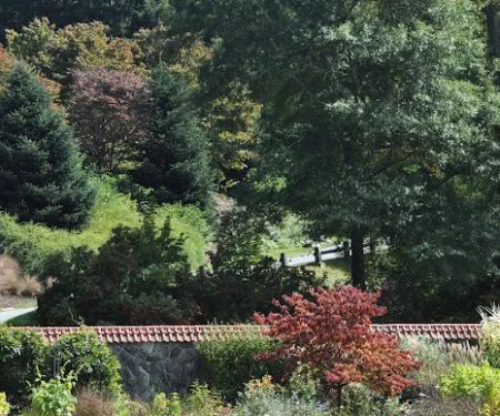 Robert's Landscape Services LLC