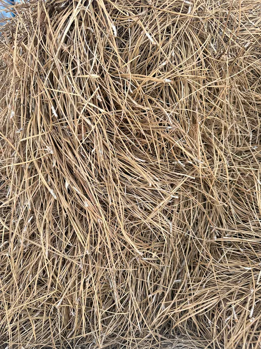 Outdoor Specialties Landscape Supply Picture 10