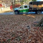 Landscaping Company Louisville