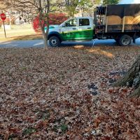 Landscaping Company Louisville ico