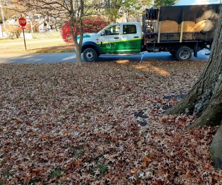 Landscaping Company Louisville