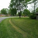 Elite Lawn Care Specialists LLP