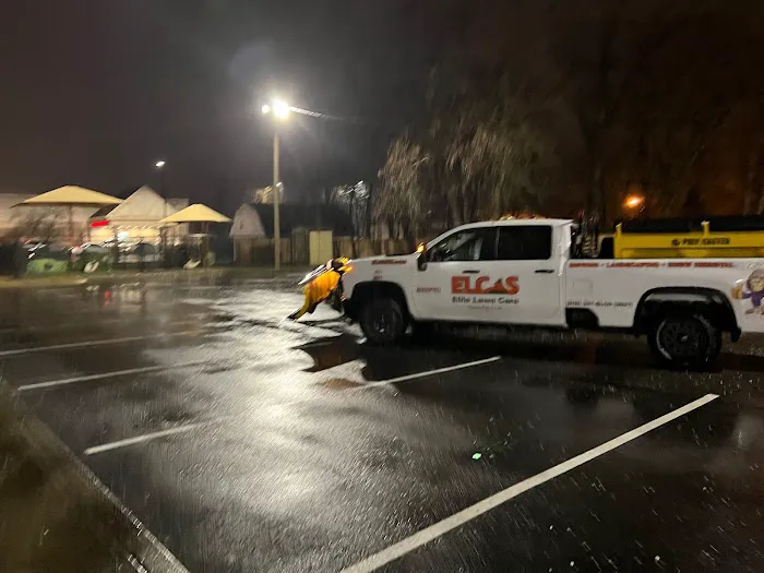Elite Lawn Care Specialists LLP Picture 2