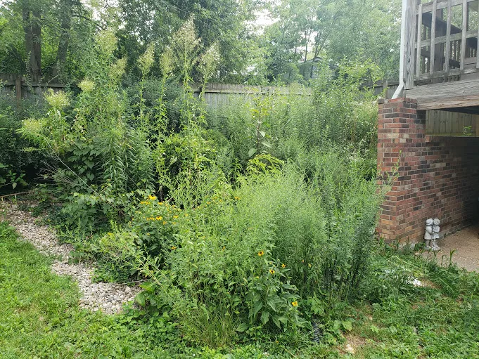 Scenic Route Lawncare and Landscaping Picture 4