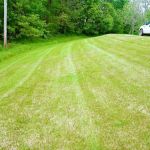 On Point Lawncare & Landscaping