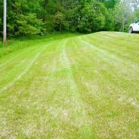 On Point Lawncare & Landscaping ico