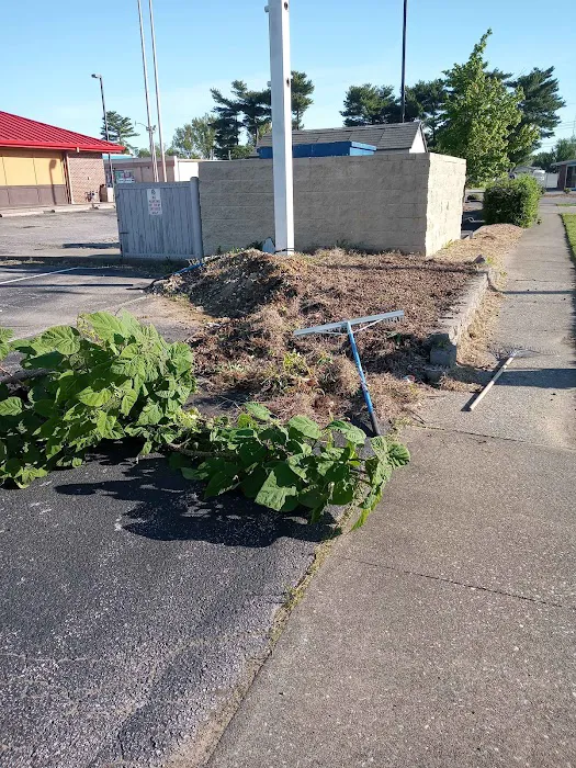 On point lawn care & landscaping Picture 4