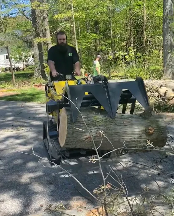 Lehman Tree Care Picture 9