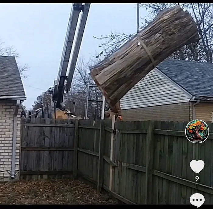 Lehman Tree Care Picture 1