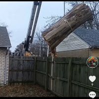 Lehman Tree Care ico