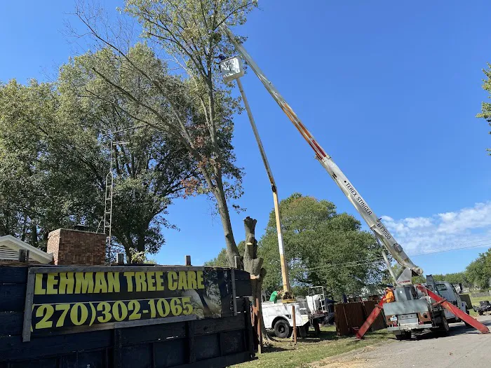 Lehman Tree Care Picture 8