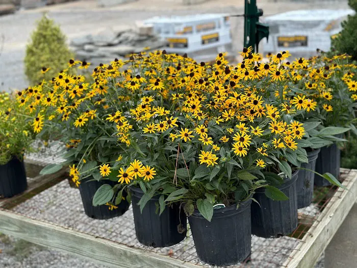 Ohio Valley Landscaping & Nursery Picture 8