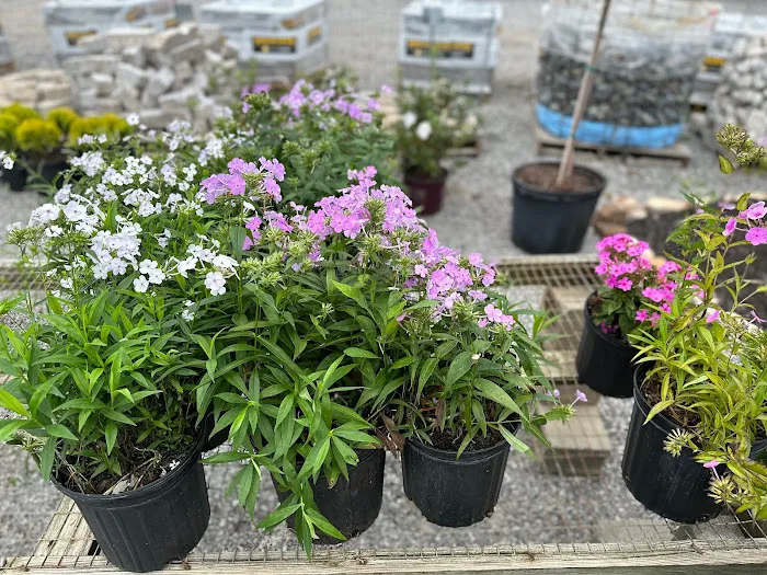 Ohio Valley Landscaping & Nursery Picture 1