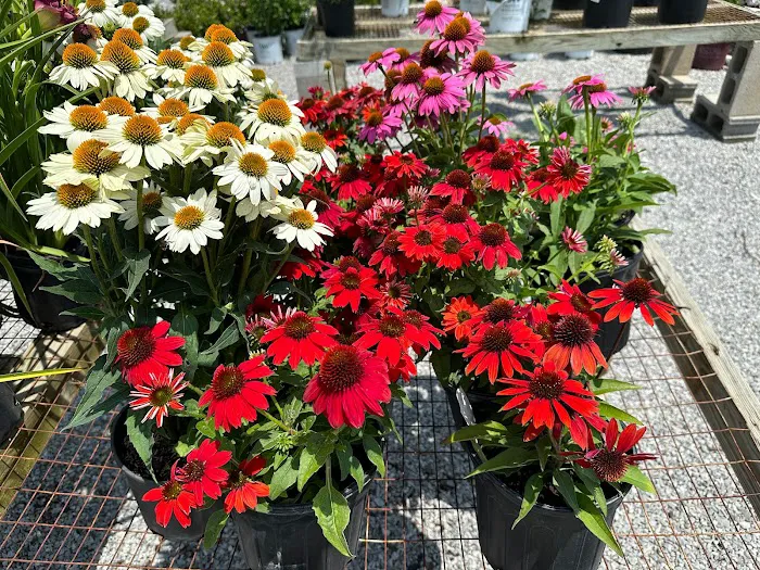 Ohio Valley Landscaping & Nursery Picture 4
