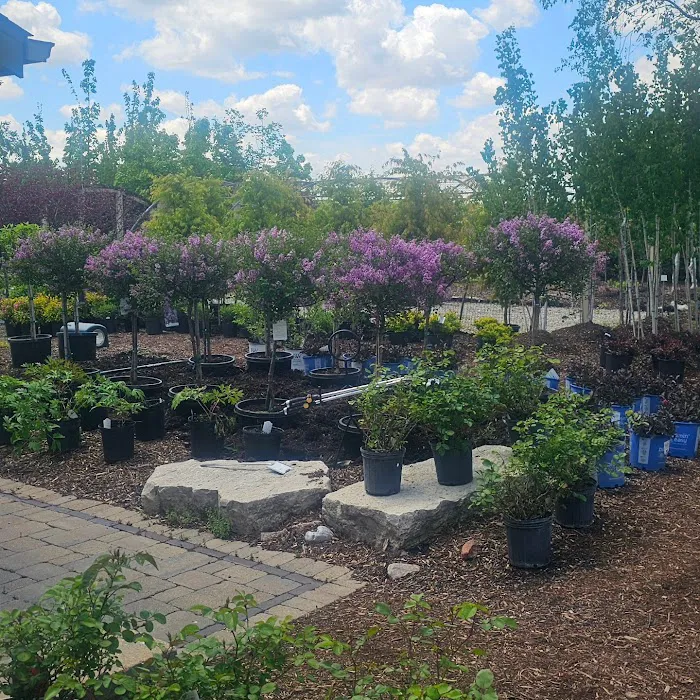 Tripp Landscaping Picture 7