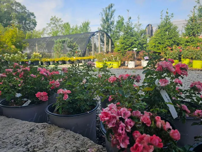 Tripp Landscaping Picture 4