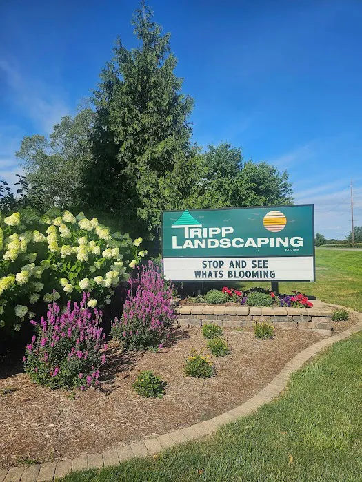 Tripp Landscaping Picture 1