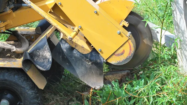 Total Tree Service Picture 7