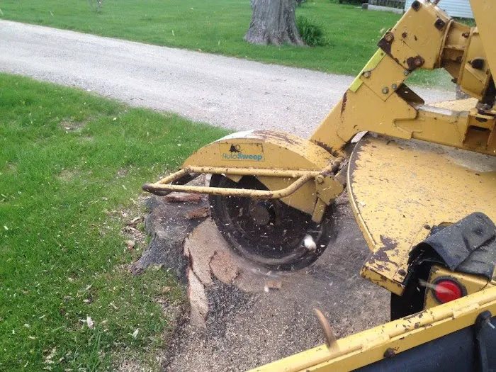 Total Tree Service Picture 8
