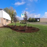 Quality Lawncare, Landscaping, and Snowplowing ico