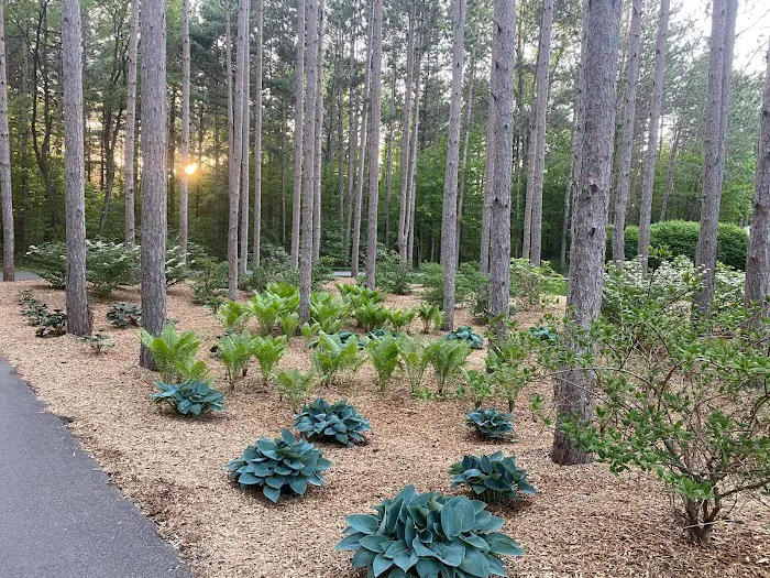 E & J Lawn Services Picture 7