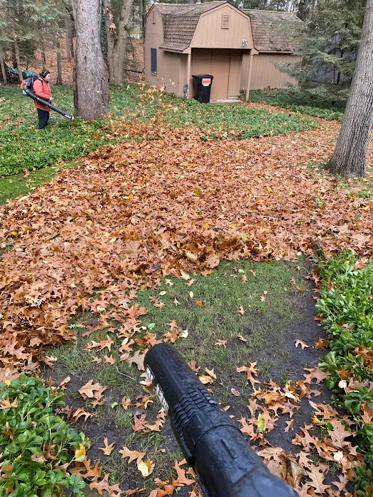 E & J Lawn Services Picture 5