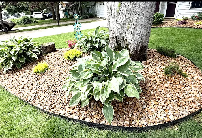 E & J Lawn Services Picture 6