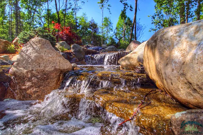Evergreen Landscaping Picture 6