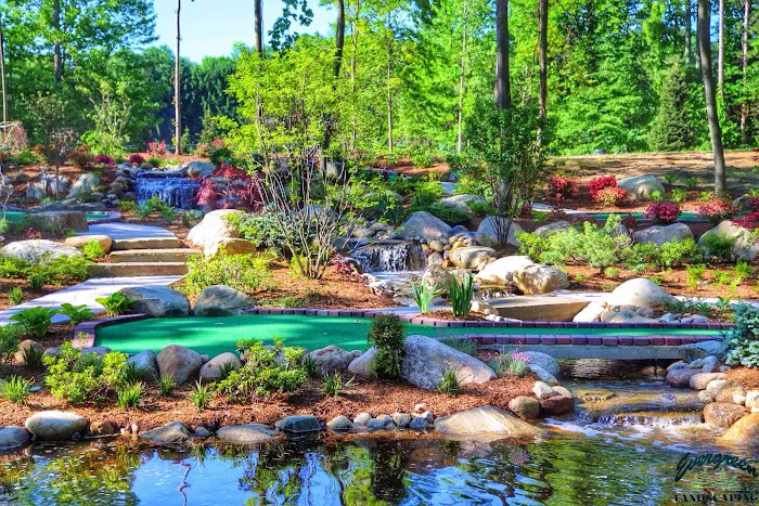 Evergreen Landscaping Picture 4