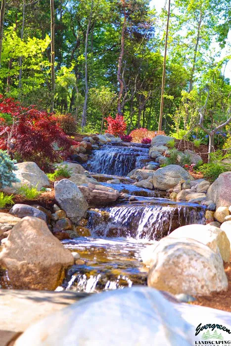Evergreen Landscaping Picture 8