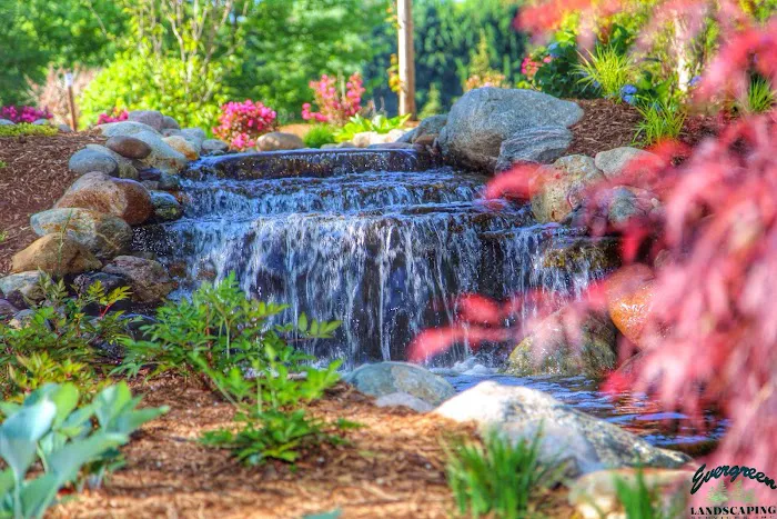 Evergreen Landscaping Picture 2