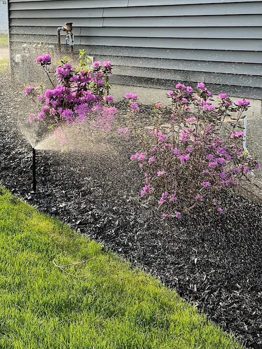 Diemer's Property Services LLC Picture 10