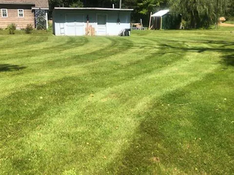 Gull Lake Lawn Pros LLC Picture 4