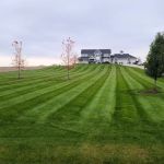 BVD Outdoor Services