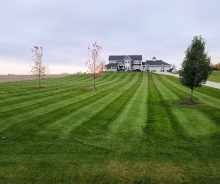 BVD Outdoor Services