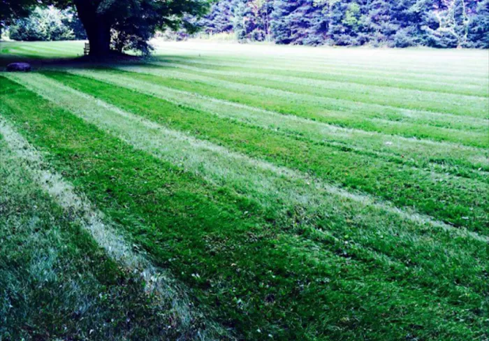 The BACKYARD BARBER GR Picture 4