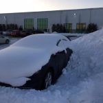 Centre Landscape Maintenance