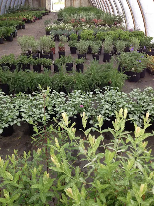 DeHamer Landscaping Picture 3