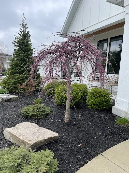 DeHamer Landscaping Picture 7