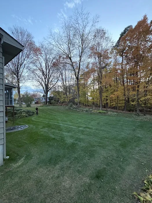 Riley's Lawn and Landscape Picture 9