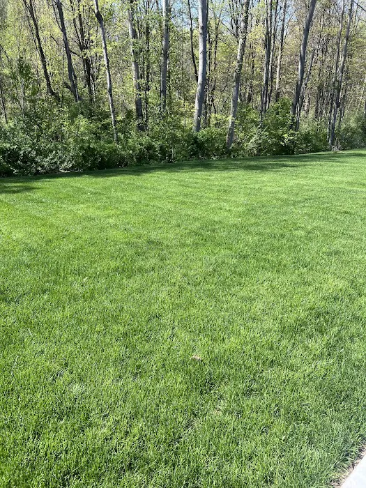 Everett's Landscape Management, Inc Picture 4