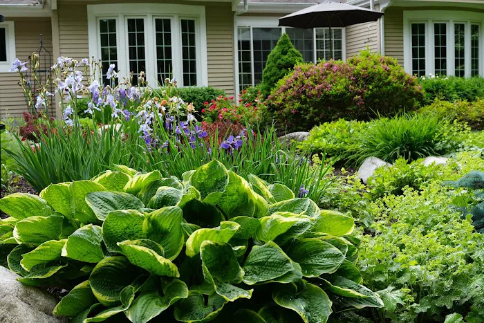 Everett's Landscape Management, Inc Picture 6
