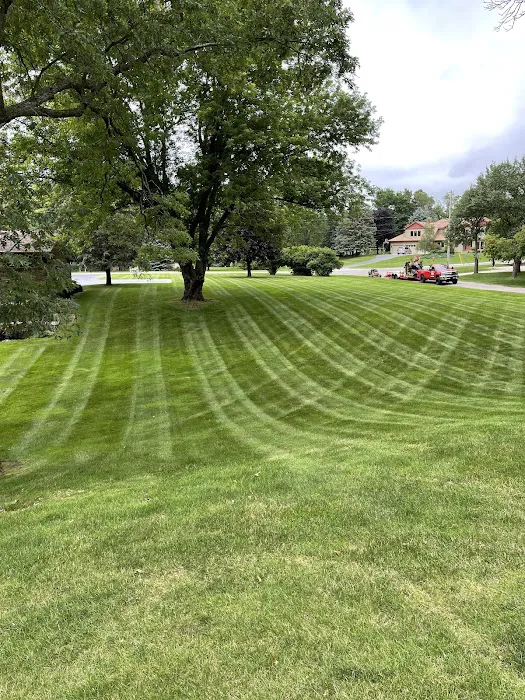 LEAPING LIZARDS LANDSCAPING Picture 4