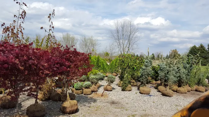 Landscape Impressions Design & Garden Center, Inc. Picture 8