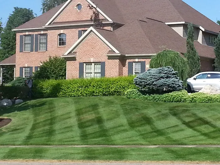 Timmer Lawn & Snow LLC Picture 1